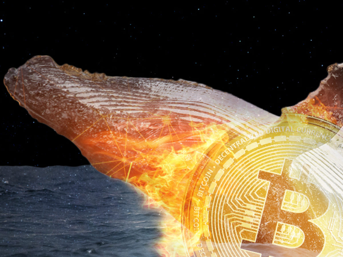 bic btc bitcoin whale wallet 1200x900 1