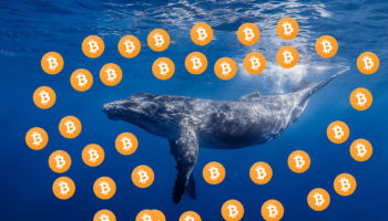 Balinalar Arttı Ufukta Bir Boğa Koşusu Var mı