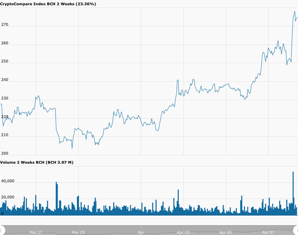 Bitcoin Cash USD grafik