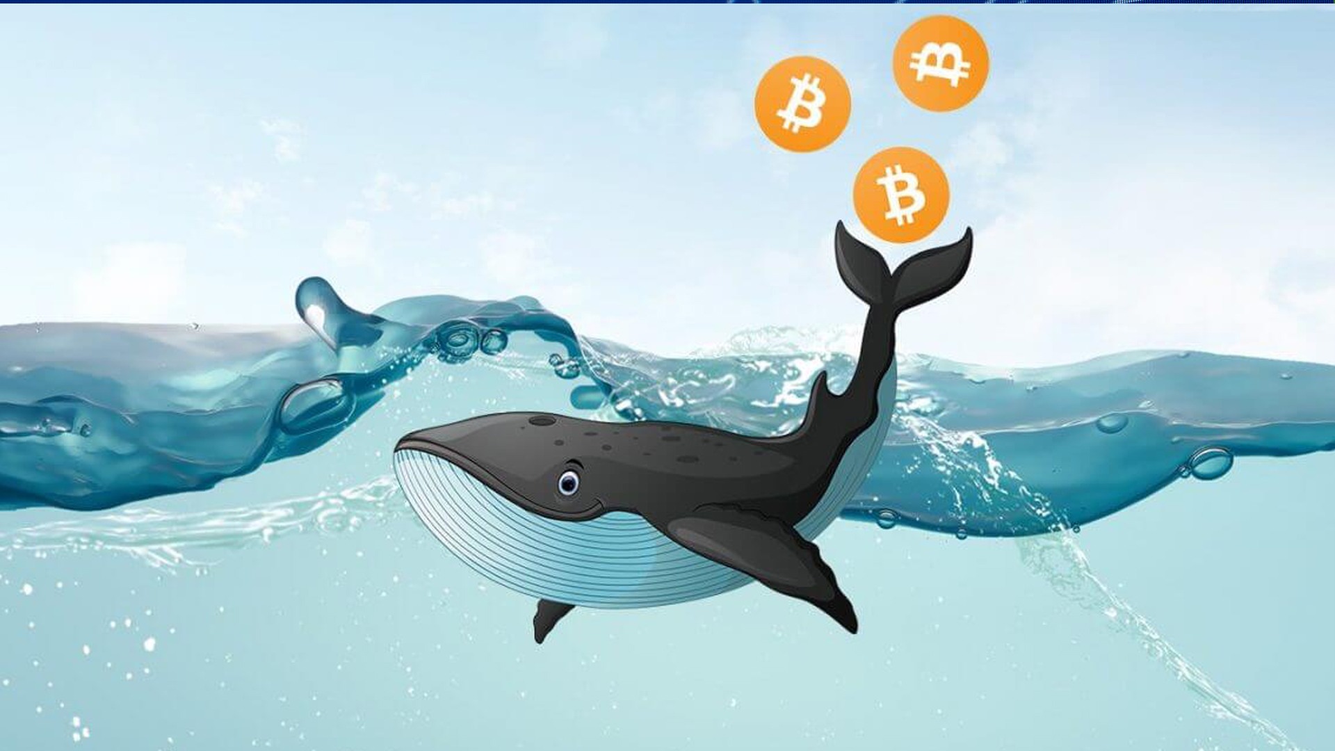 bitcoin balinalarin sayısında artis meydana geldi