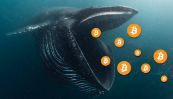 bitcoin balinası ekonomi hakkında konuştu