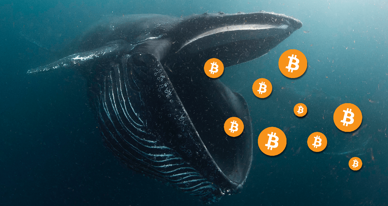 bitcoin balinası ekonomi hakkında konuştu
