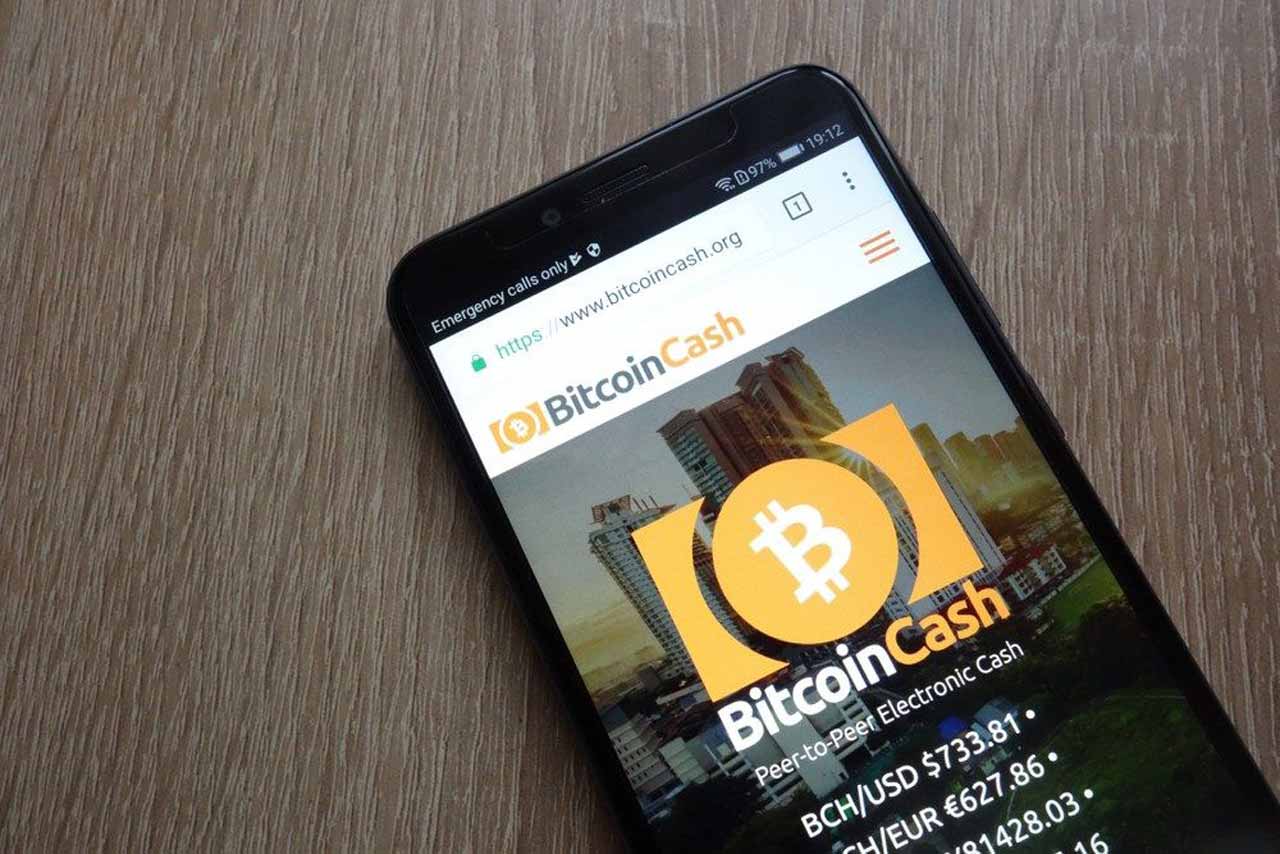 bitcoin cash bch için kritik gün ya yarılanma