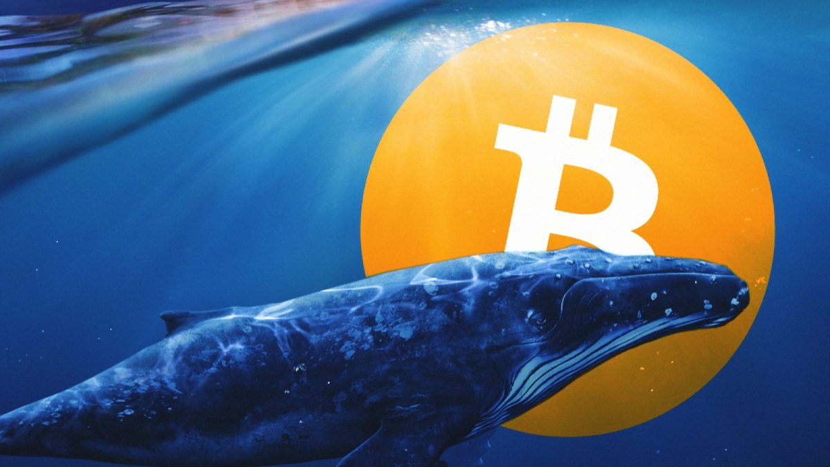 bitcoin ve rippleda ralli hızlandıkca balinalarda harekete gecti