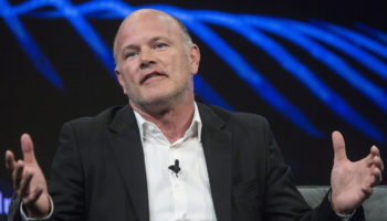 novogratz pes edebilir