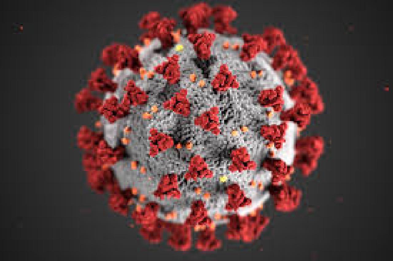 resized koronavirüs blockchain