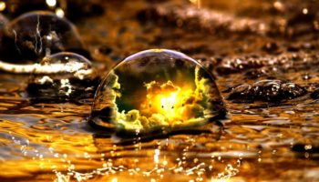 4chan Söylentileri Bu Altcoin’e Yüzde 10.300’den Fazla Değer Kazandırdı