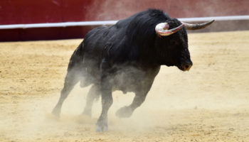 bitcoin boga yapisindaki genisleme bitcoini 11000 dolar seviyesine cikarabilir