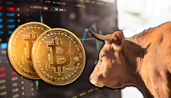 bitcoin boğa koşusu