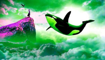 Bitcoin BTC Balinası Yükseliş Düşüncelerinin Masal Olduğunu Ortaya Koyuyor