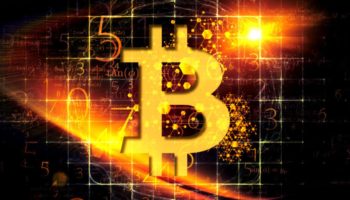 Bitcoin BTC Hazine Avı Başladı Bu Bal Porsuğu Sizi 10 Milyon Satoshi’ye Ulaştıracak