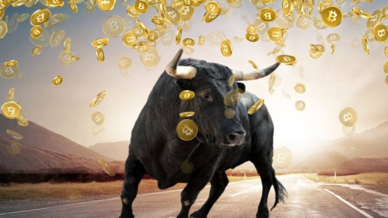 Eğer Uzaylı İstilası Olmazsa Bu Sefer Bitcoin BTC 10.000 Dolardan Dönmeyecek