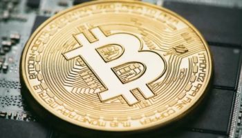 analist berk tavşan bitcoin btc