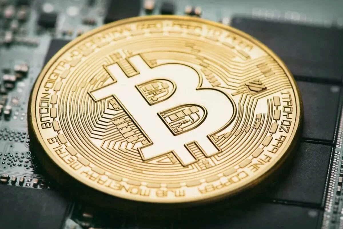 analist berk tavşan bitcoin btc