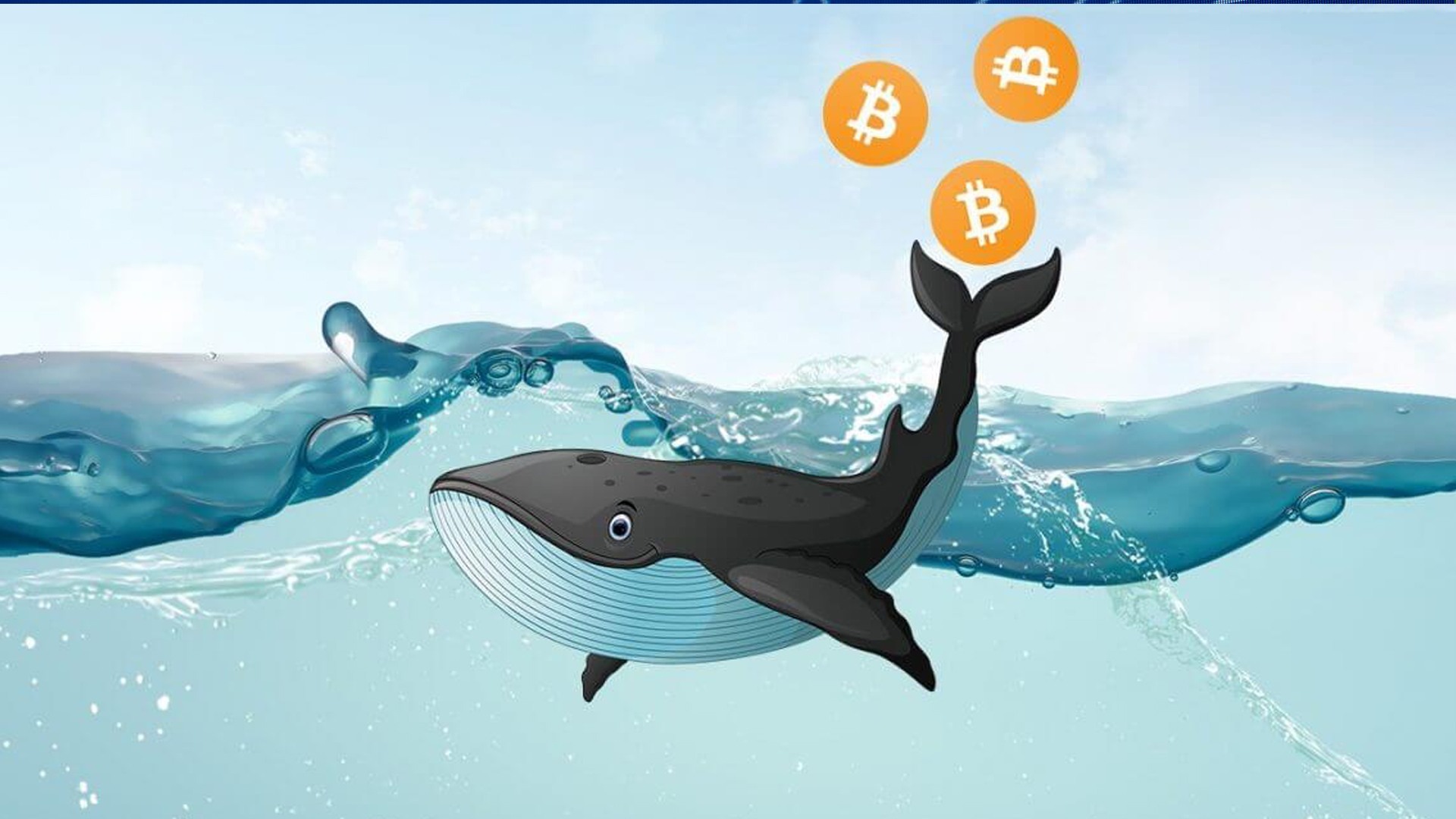bitcoin balinalari
