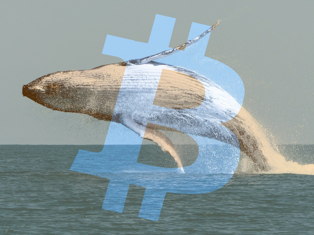 bitcoin balinaları