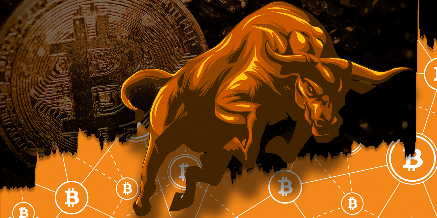 bitcoin bull