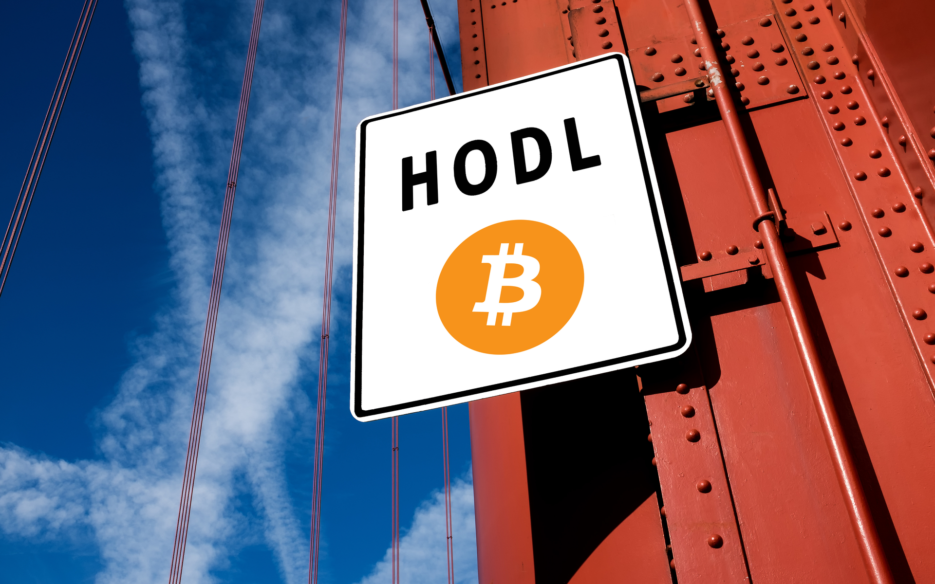 bitcoin hodl