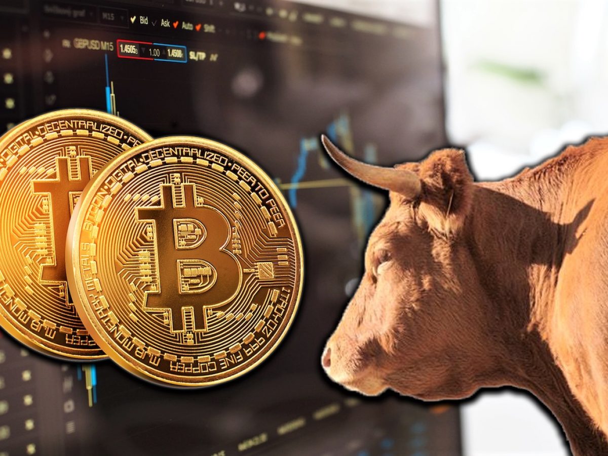 btc bulls