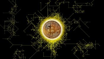 btc halving ve korelasyon