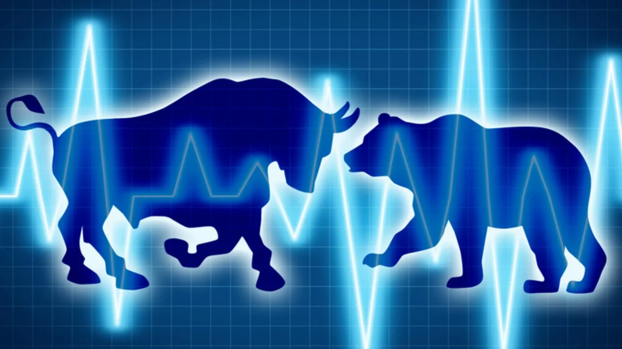 bulls and bears