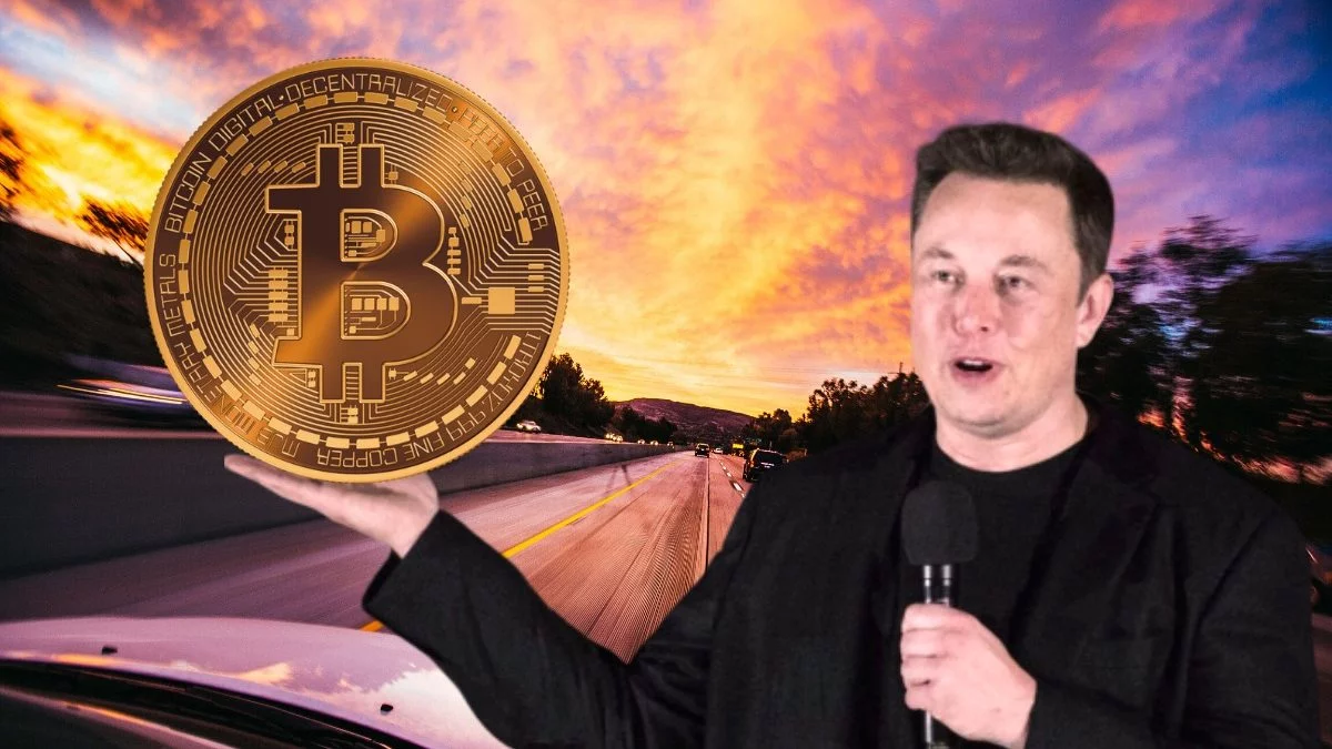 elon musk bitcoin