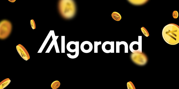 algorand algo nedir ne işe yarar nasıl satın alınır