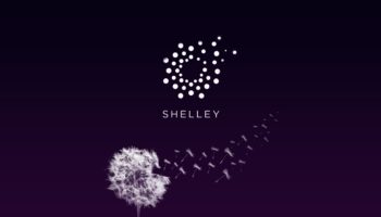 cardano shelly ada