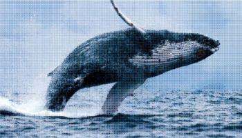 ethereum balinalari hareketlendi