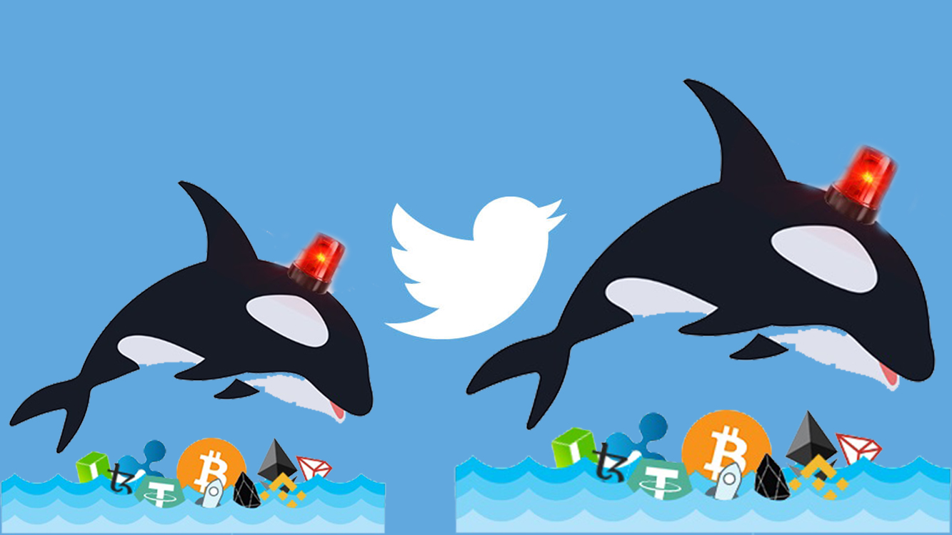 son dakika whale alert twitter hesabı kapanacak mı