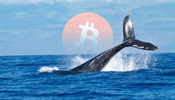 Bitcoin Balinasi BTC