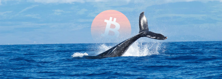 Bitcoin Balinasi BTC