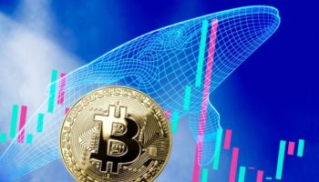 Bitcoin Islemlerinde Buyuk Artis Yasanirken BTC Balinalari 100 Milyon Tasidi