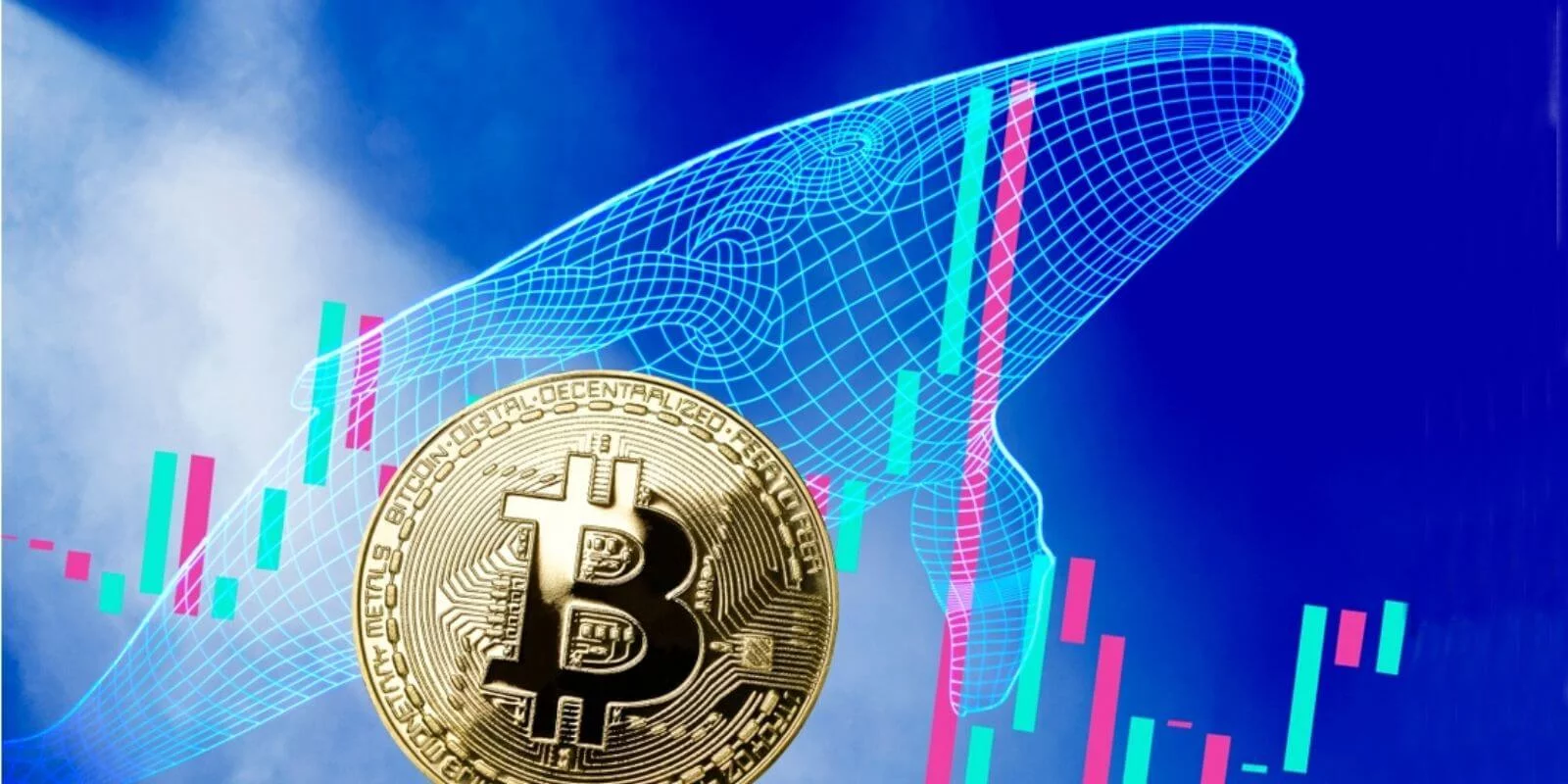 Bitcoin Islemlerinde Buyuk Artis Yasanirken BTC Balinalari 100 Milyon Tasidi