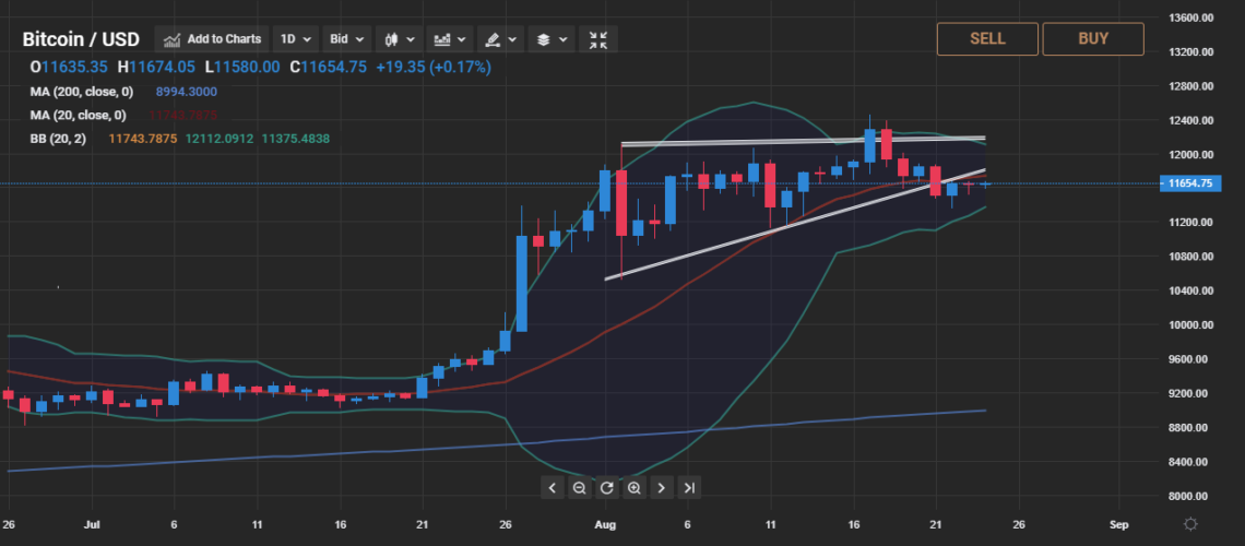 analist nathan Bitcoin BTC analist nathan Bitcoin BTC