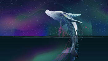 kripto balinalari harekete gecti