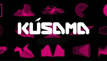 kusama nedir ne ise yarar