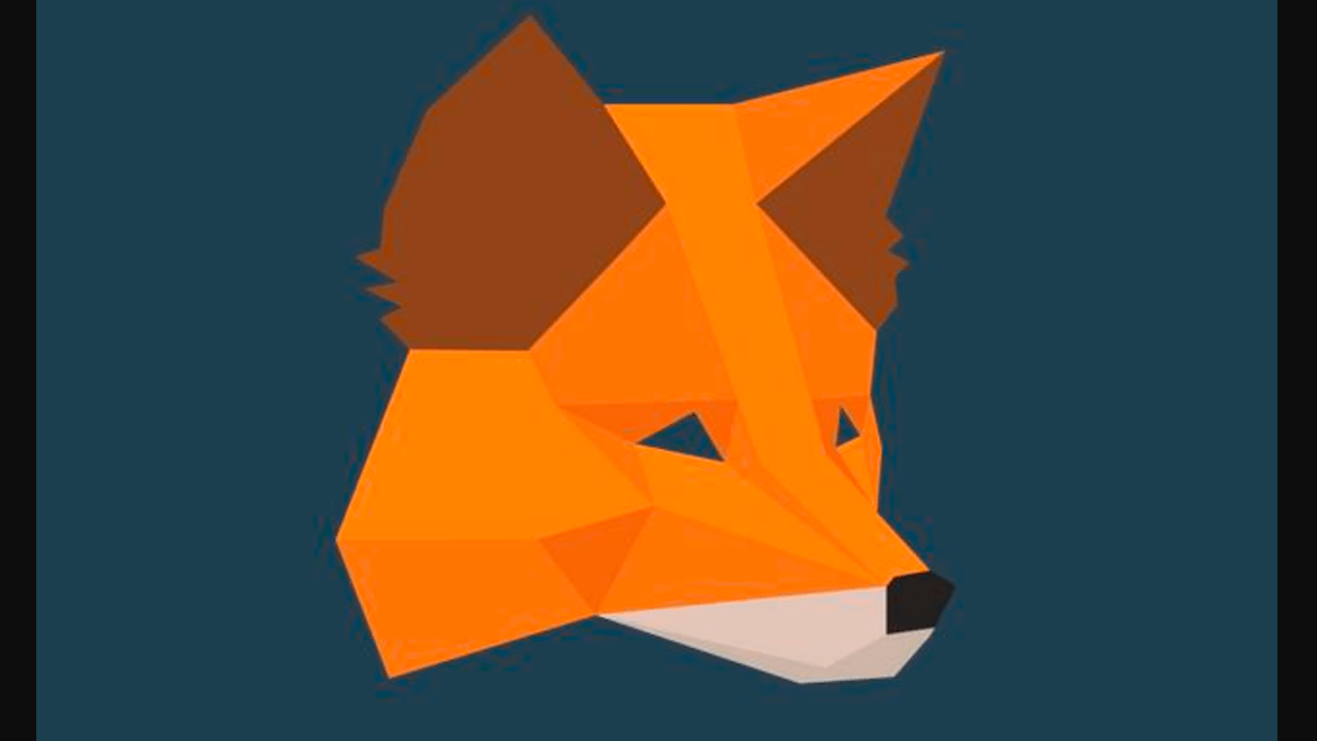 MetaMask nedir nasil kullanilir