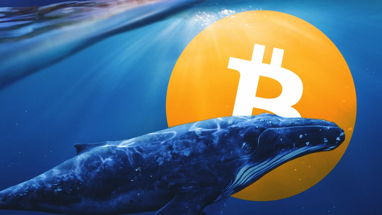 balinalar bitcoin lerini btc nakite ceviriyor