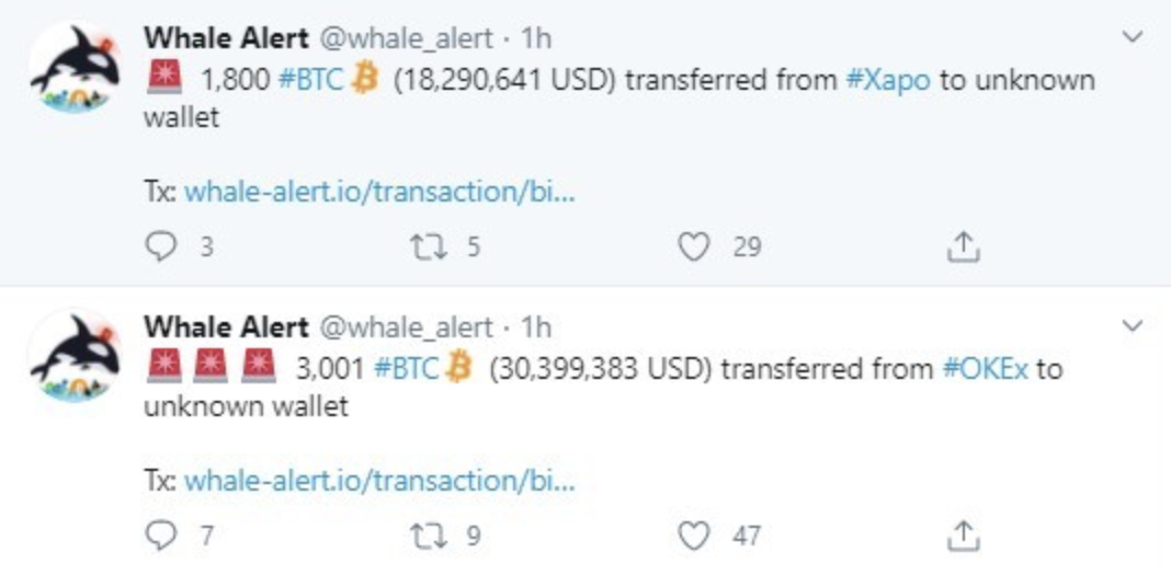 whales turn bitcoins into btc cash