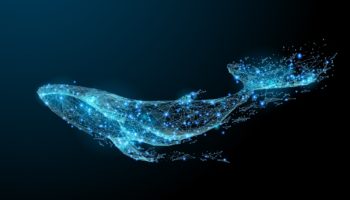 ethereum un son fiyat dususu balinalar tarafindan ongoruluyor muydu