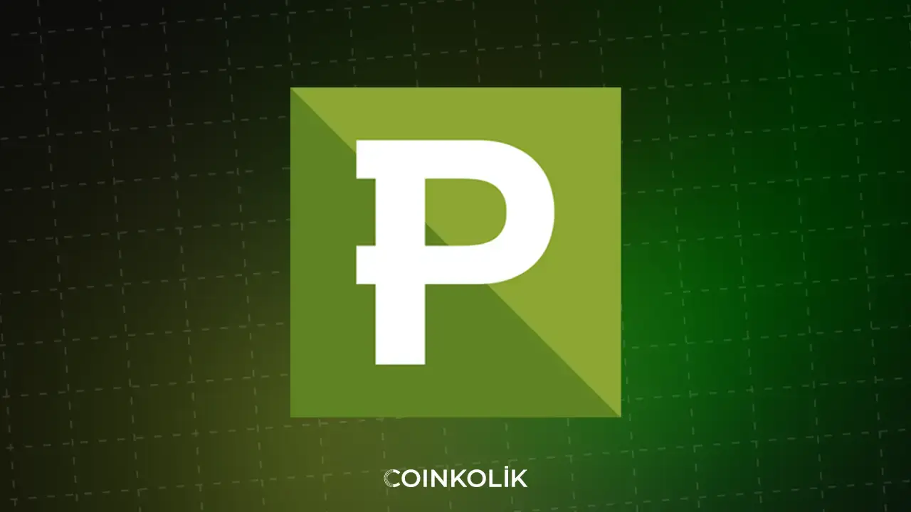 paribu kripto para borsa nedir