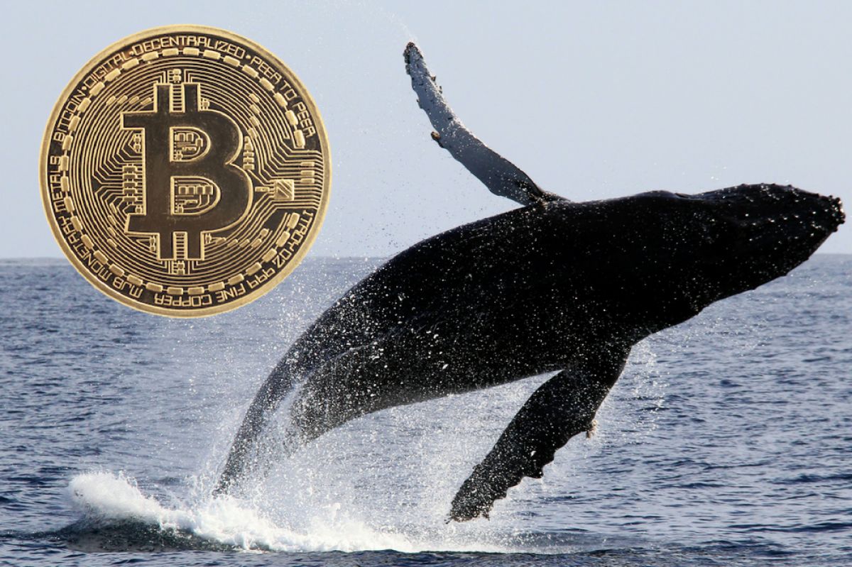 634 Milyon Dolarlik Bitcoin BTC Hareket Etti