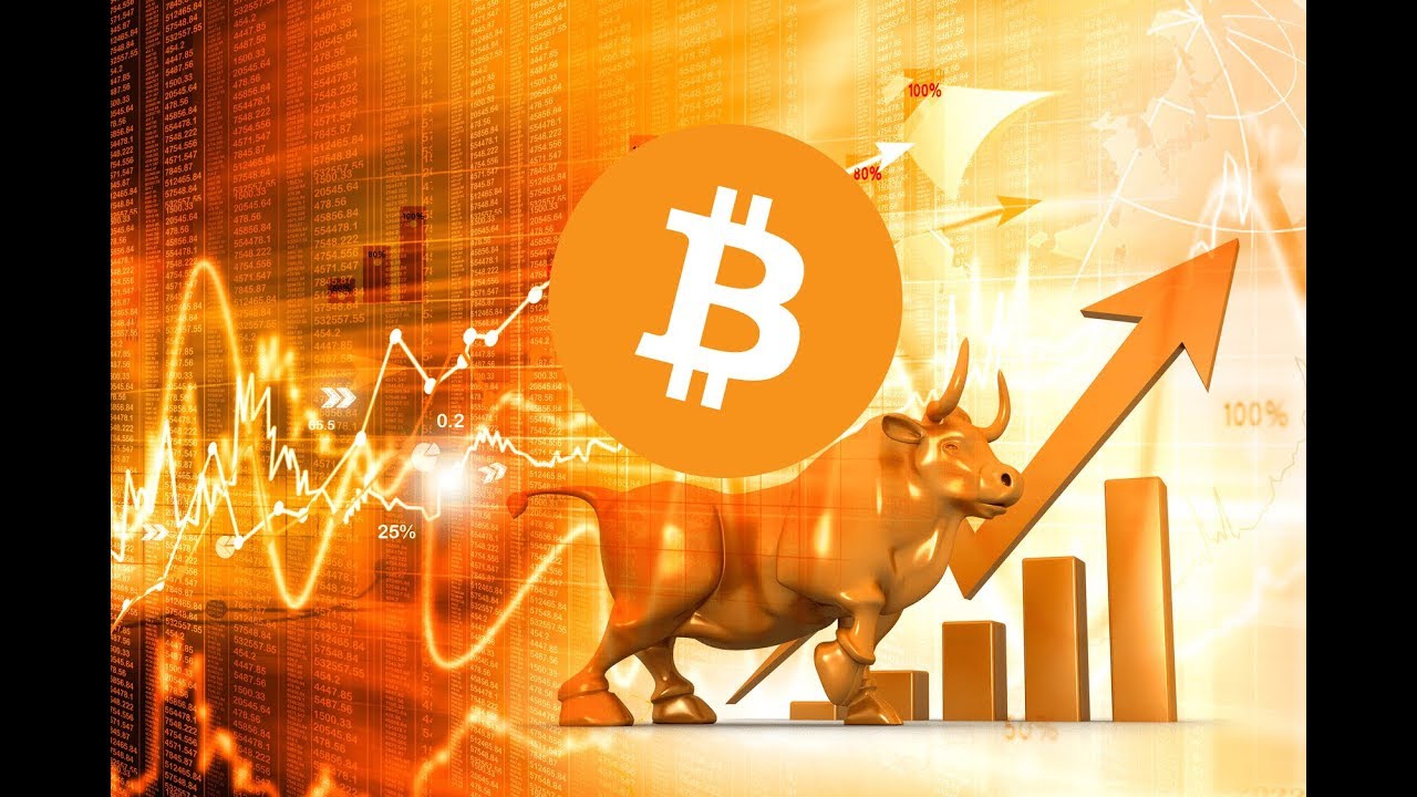 bitcoin boga kosusu