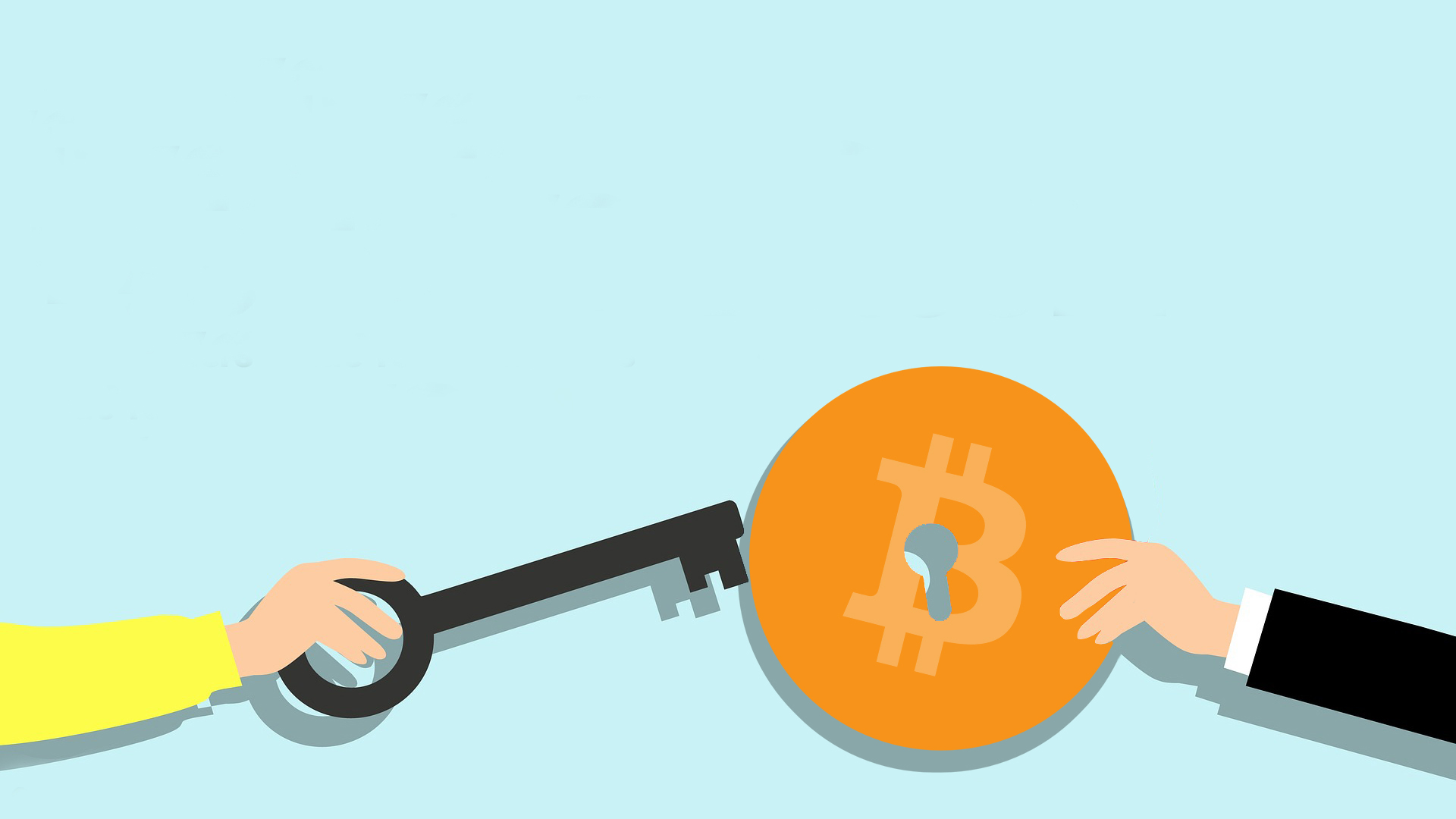 not your keys not your bitcoin