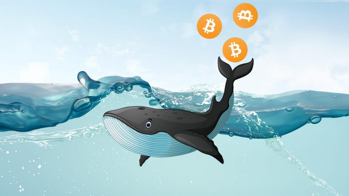 Bitcoin Balinalari BTC lerini satiyor mu Yatirimcilar Piyasa ile Nasil Oynuyor