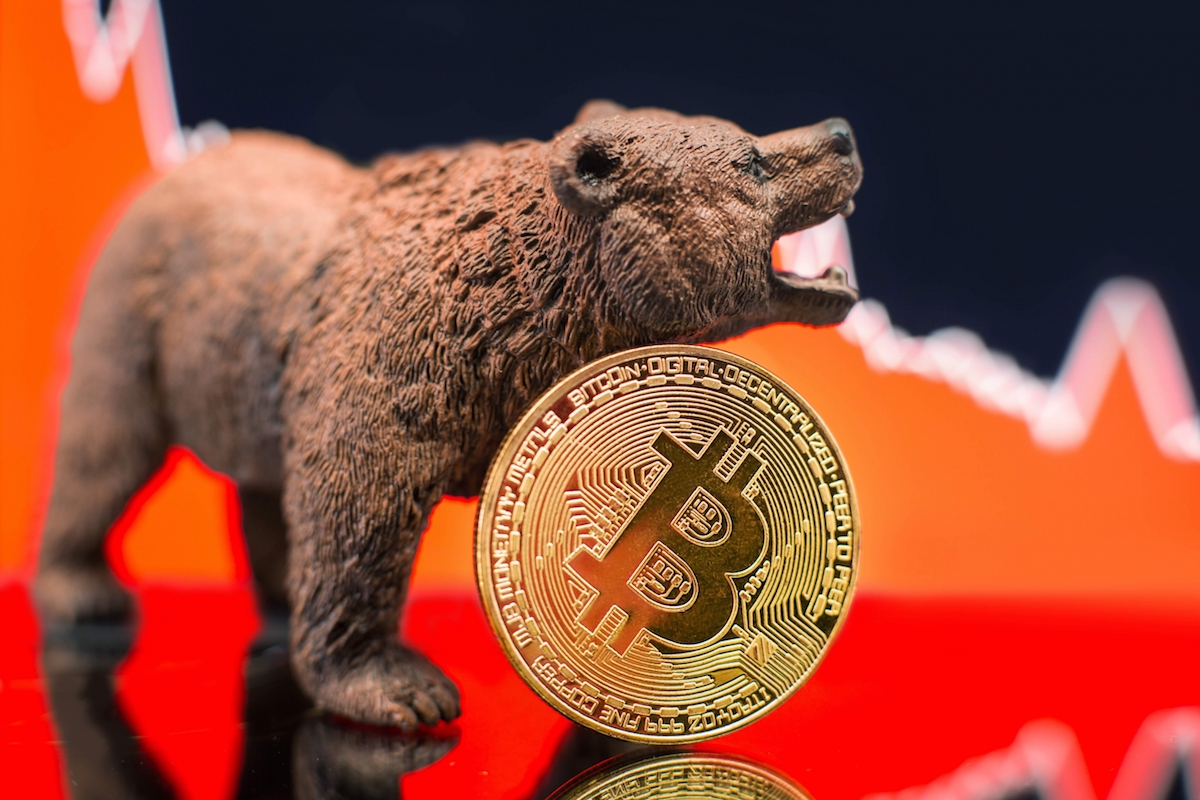bitcoin ayi