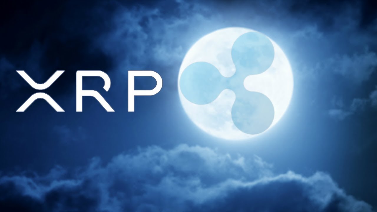 xrp analiz