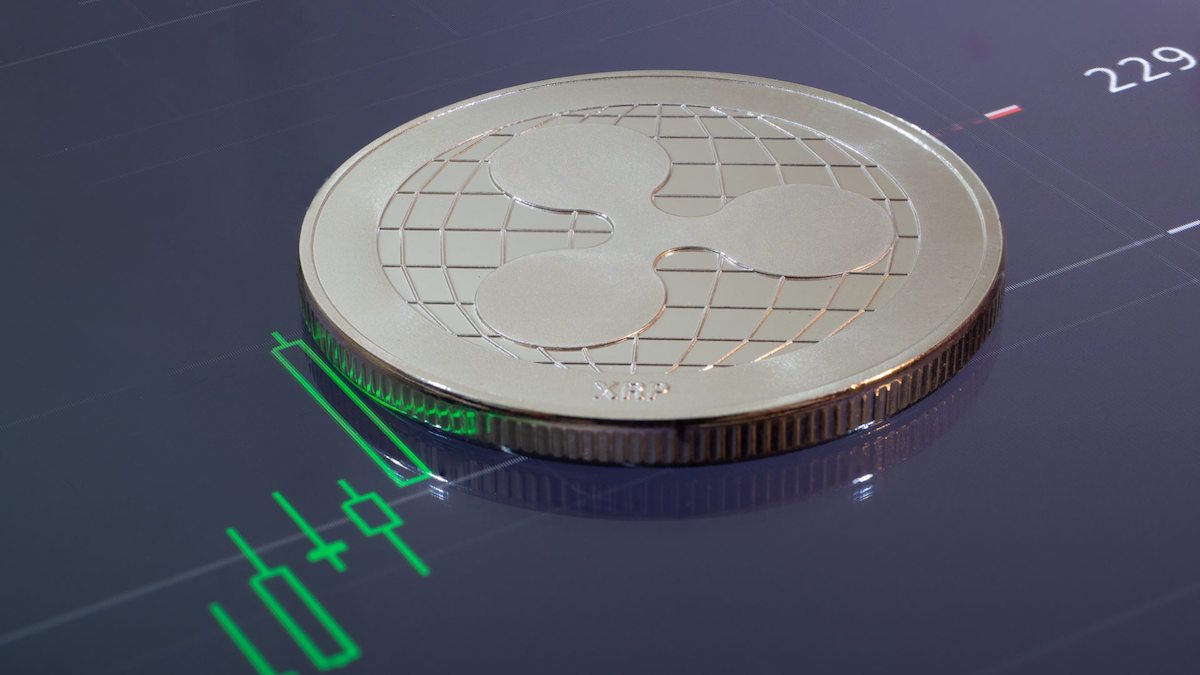 xrp rekor kirdi yerli borsa yuzde 65