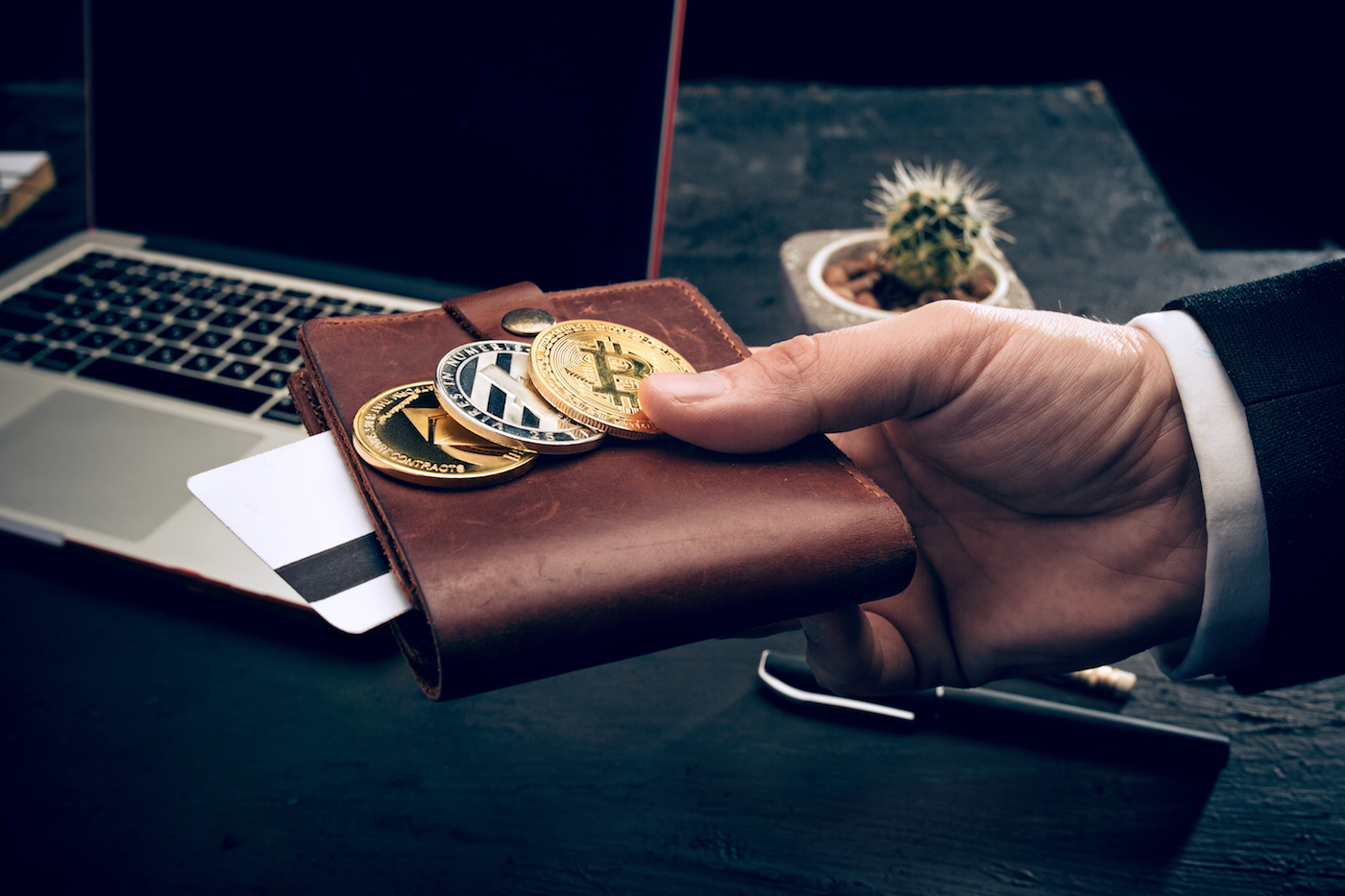 bitcoini unutun bu altcoinler